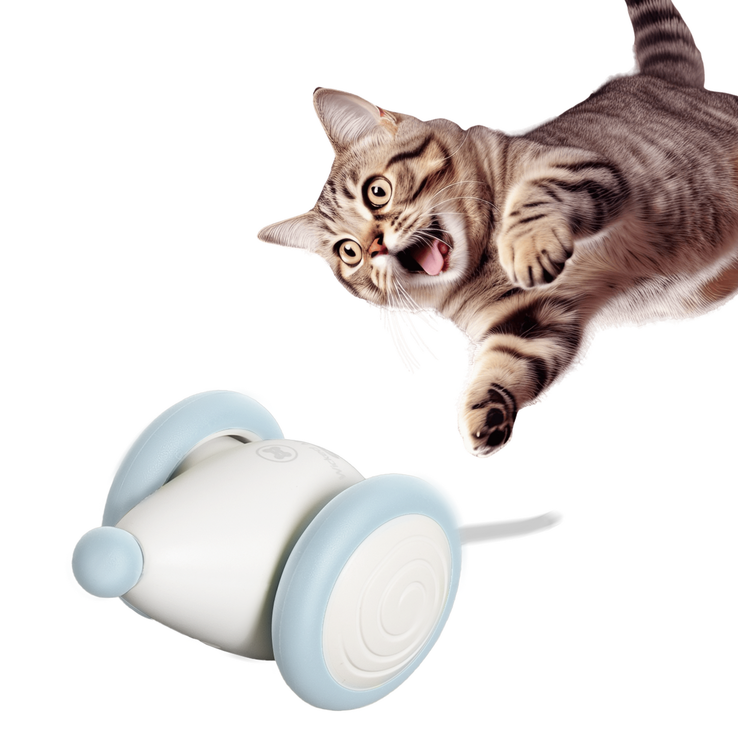 ウィキッド・マウス・プラス(ブルー)